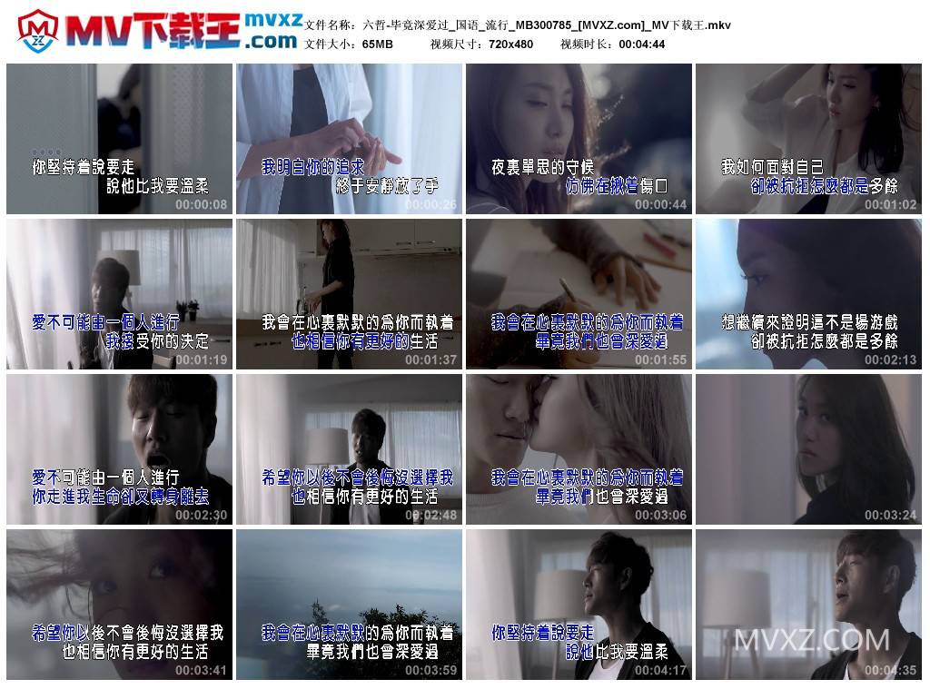 六哲-毕竟深爱过_国语_流行_MB300785
